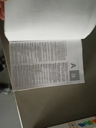 NUEVO DICCIONARIO BÁSICO DE LA LENGUA ESPAÑOLA ...