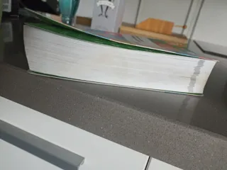 NUEVO DICCIONARIO BÁSICO DE LA LENGUA ESPAÑOLA ...