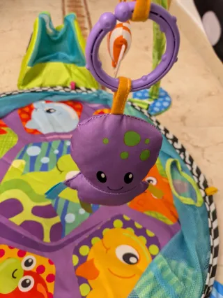 Gimnasio de bebé tortuga