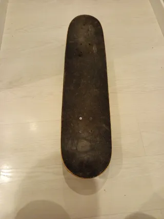 Skate Board