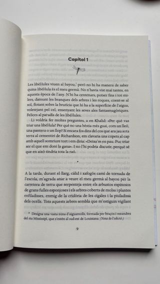 En King i les libèl·lules