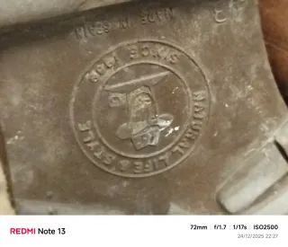 Botas Panama Jack Bora Marrones