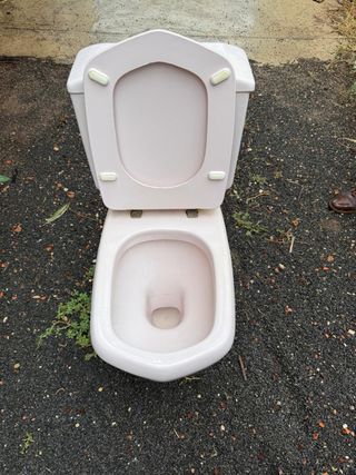 Taza de baño rosa de porcelana