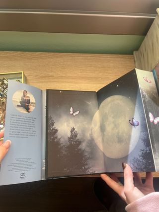 Quicksilver - Saga Alquimia & Fae vol. 1 (prime...