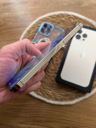 iPhone 13 Pro Max 256GB bateria 100%