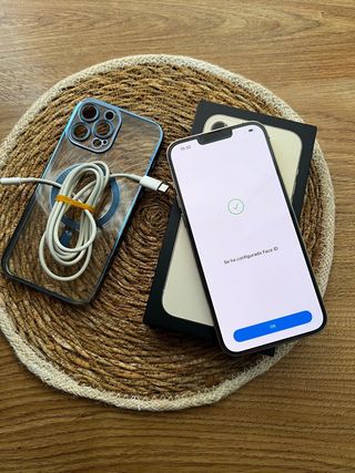 iPhone 13 Pro Max 256GB bateria 100%