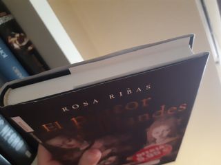 El Pintor De Flandes