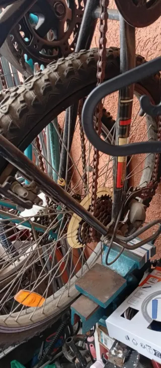 3 Bicicletas (sueltas o juntas)