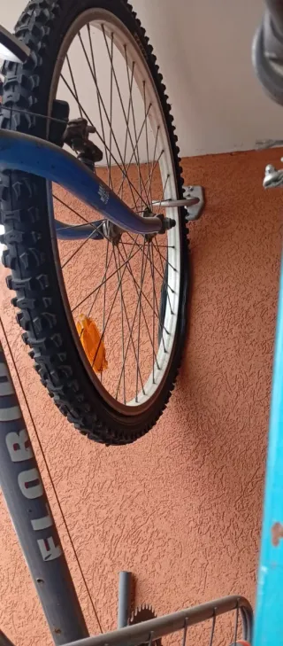 3 Bicicletas (sueltas o juntas)