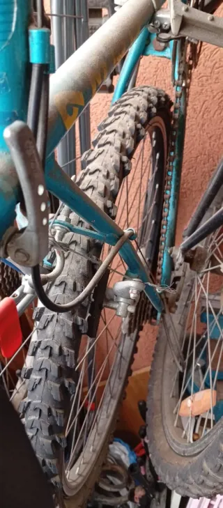 3 Bicicletas (sueltas o juntas)