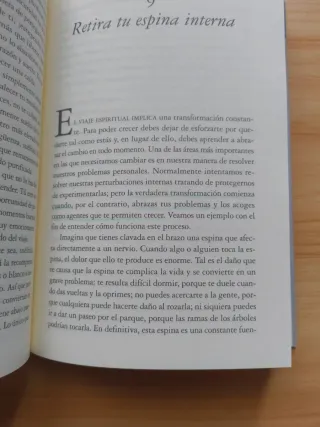 La liberación del alma: El viaje más allá de ti...