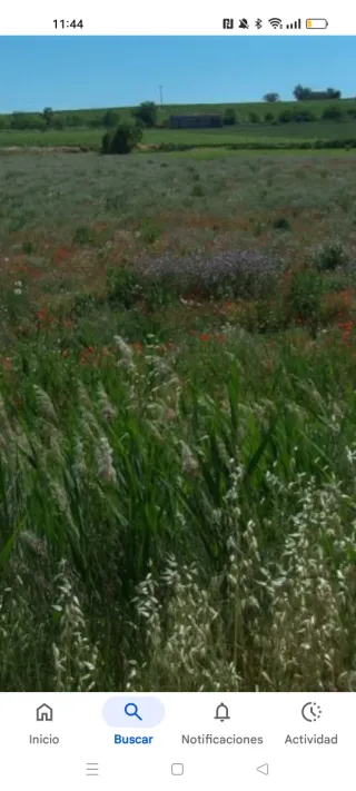 Finca Rústica Secano y Regadío