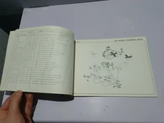 Catálogo Derbi CX Yumbo Súper 49cc