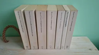 En busca del tiempo perdido