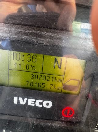 Camión grúa Iveco 2007