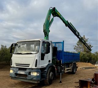 Camión grúa Iveco 2007