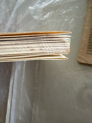 Novena Virgen del Lidon Coronación 1924