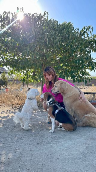 Cuido animales / Paseo perros