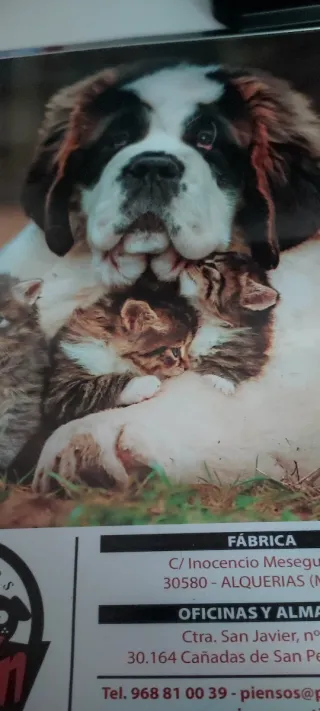 Calendario de pared 2026