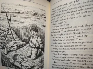 Libro The Piano - Rosemary Border - Inglés