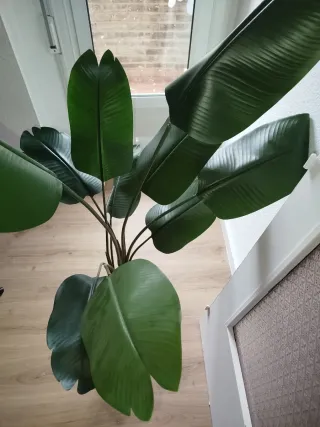 Planta Artificial Strelitzia Grande