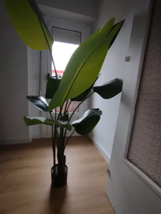 Planta Artificial Strelitzia Grande
