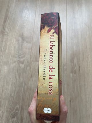 El laberinto de la rosa (Spanish Edition)