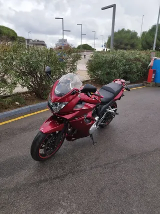 Suzuki Bandit S espectacular