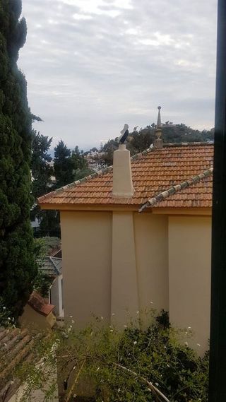 Piso en alquiler en El Mayorazgo - El Limonar en Málaga