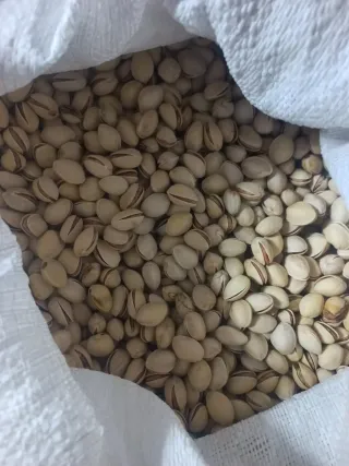 Semillas de pistacho