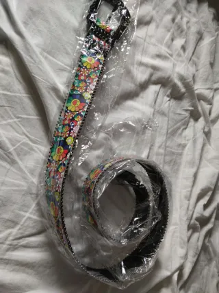 Cinturón animado con dibujos