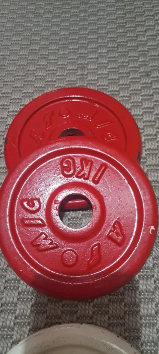 Lote 8 discos pesas 1 kg