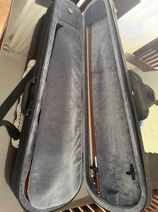 Viola Carlo Giordano 14”