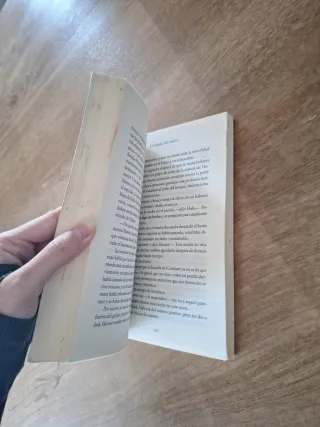 MONTARACES 3. LA TIERRA DEL HIELO (Spanish Edit...