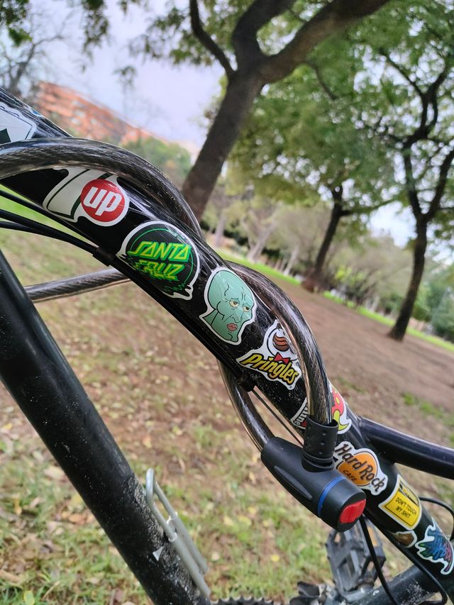 Bicicleta montañera + Candado, Shimano, Adulto