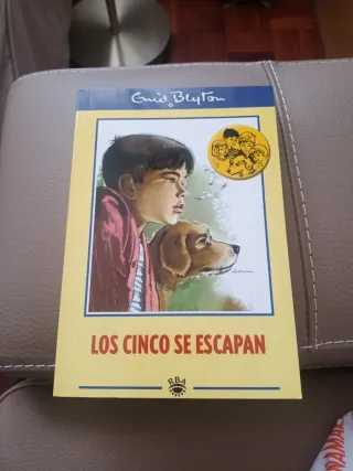 Los Cinco se escapan