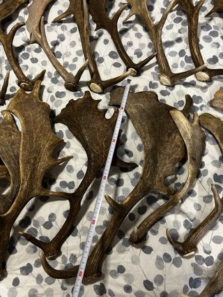 DECORACIÓN RURAL/NAVIDEÑA