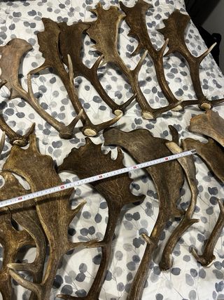 DECORACIÓN RURAL/NAVIDEÑA