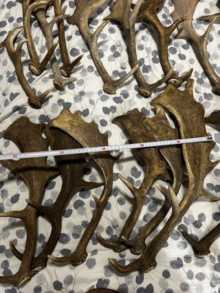 DECORACIÓN RURAL/NAVIDEÑA