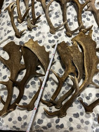 DECORACIÓN RURAL/NAVIDEÑA