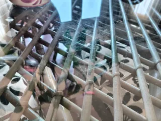 Mesa comedor cristal y 6 sillas mimbre