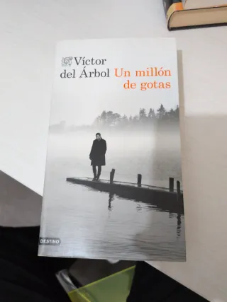 Un millón de gotas (Spanish Edition)