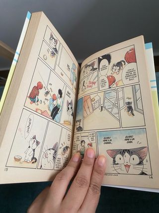 El dulce hogar de Chi 1 (Shonen Manga) (Spanish...