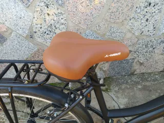 Bicicleta Paseo 26 pulgadas.