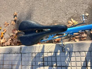 Bicicleta azul Giant