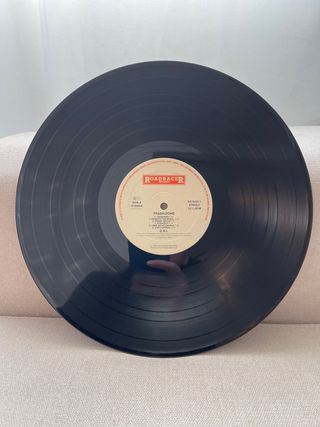 Vinilo de D.R.I. “Thrash Zone”