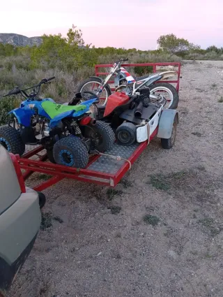 Remolque plataforma coche