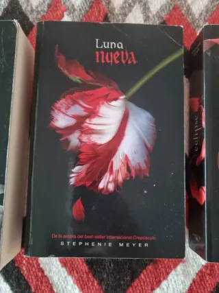 Crepúsculo (Saga Crepúsculo 1) (Spanish Edition)
