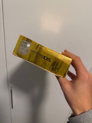 Box Pokemon Versione Oro e Argento DS