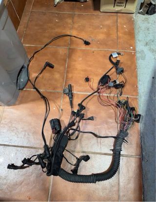Cableado Motor BMW 320d E46 136CV